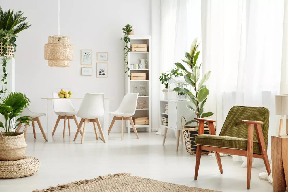 Minimalism for Beginners