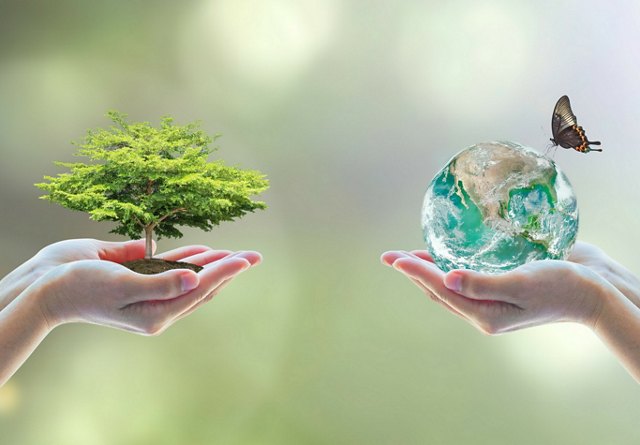 Sustainable Living